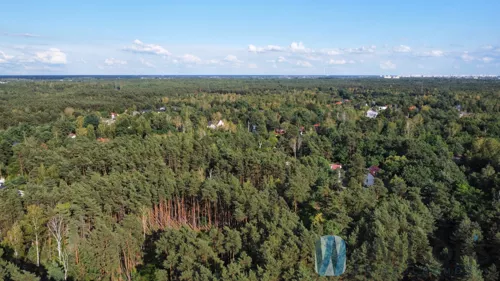 WIL919327 - zdjęcie nr 0