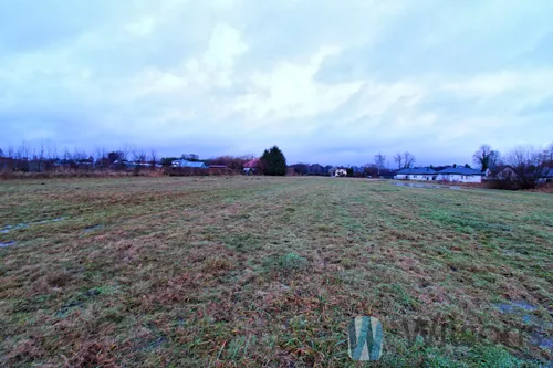 WIL773724 - zdjęcie nr 0