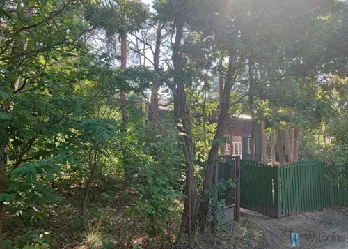 WIL939670 - zdjęcie nr 0