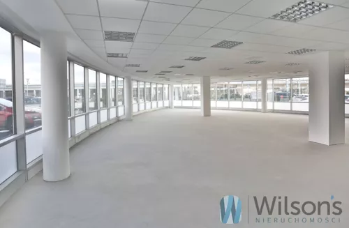 WIL492646 - zdjęcie nr 0