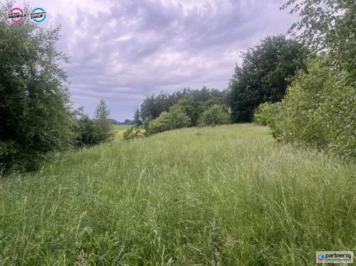 PAN100160 - zdjęcie nr 0