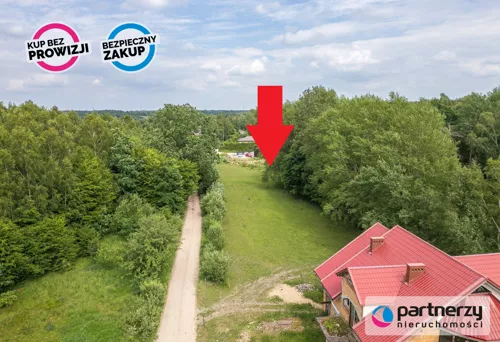 PAN495528 - zdjęcie nr 0