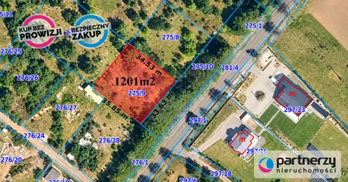PAN985827 - zdjęcie nr 0