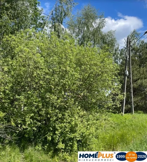 23402/78/OGS - zdjęcie nr 0