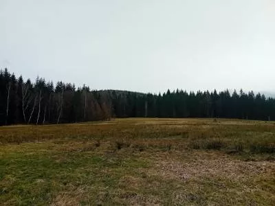 38982/3186/OGS - zdjęcie nr 0