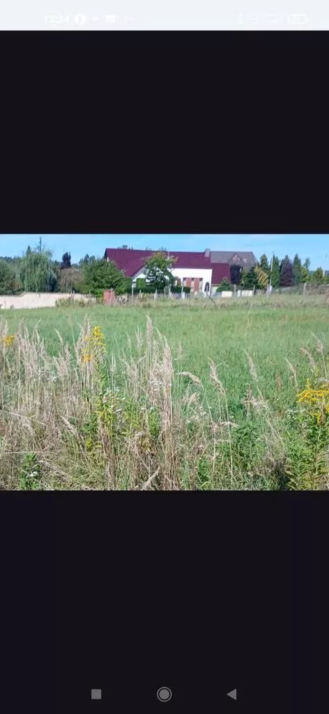 45983/3186/OGS - zdjęcie nr 0