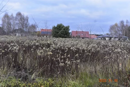 45916/3186/OGS - zdjęcie nr 0