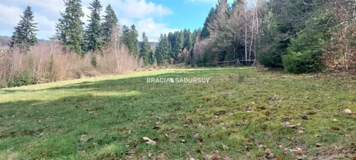 BS2-GS-303725-45 - zdjęcie nr 0
