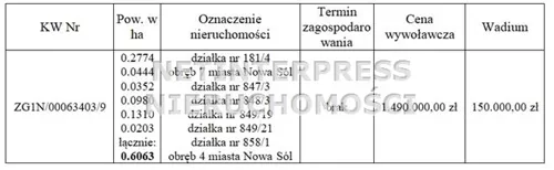 NET-GS-1946 - zdjęcie nr 0