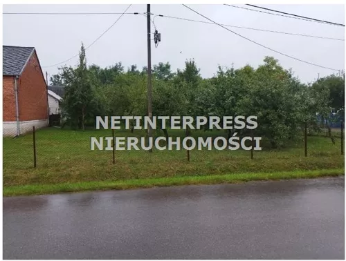 NET-GS-1985 - zdjęcie nr 0
