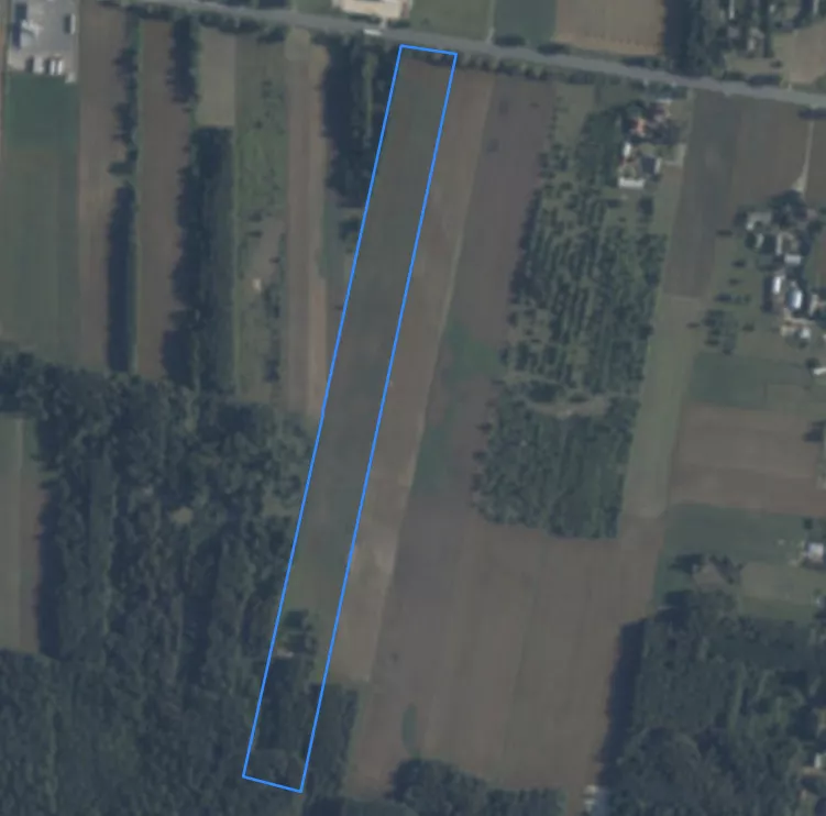 Działka 49 008,00 m², oferta nr , 264/14727/OGS, Jagodne