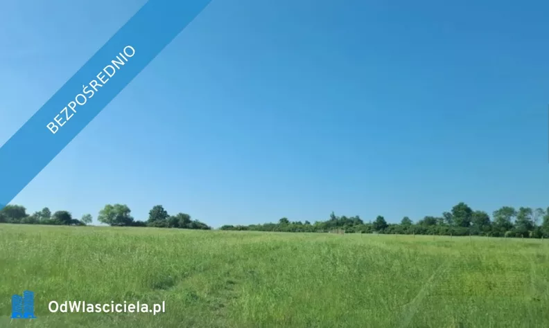 Działka 3 000,00 m², oferta nr , 41609, Gorzanów