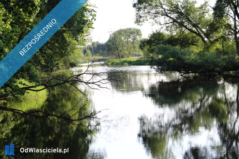 Działka 4 000,00 m², oferta nr , 42789, Lipie