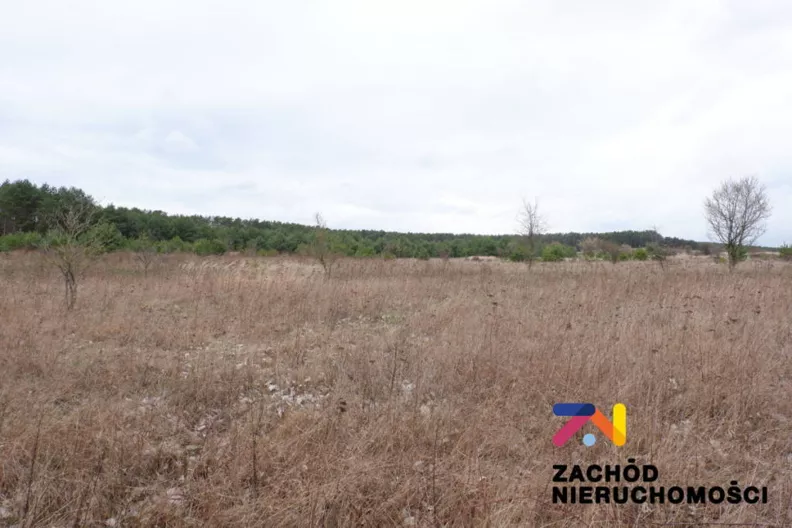 Działka 10 000,00 m², oferta nr , 141110227, Dąbrowa