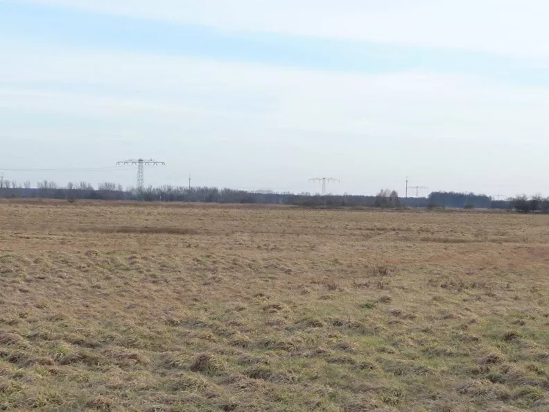 Działka 432 400,00 m², oferta nr , 79340227, Lubsko