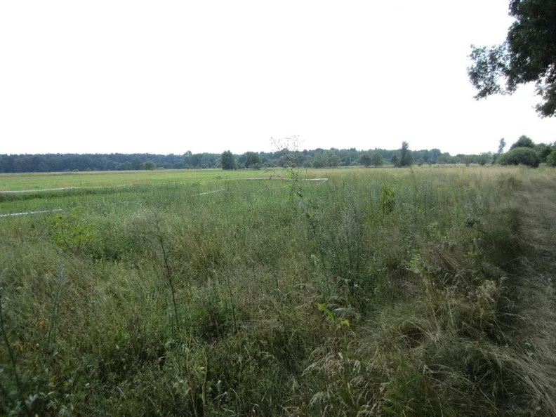 Działka 13 000,00 m², oferta nr , 71340227, Zielona Góra, Kiełpin