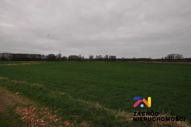 Działka 6 000,00 m², oferta nr , 161480227, Zielona Góra, Zawada