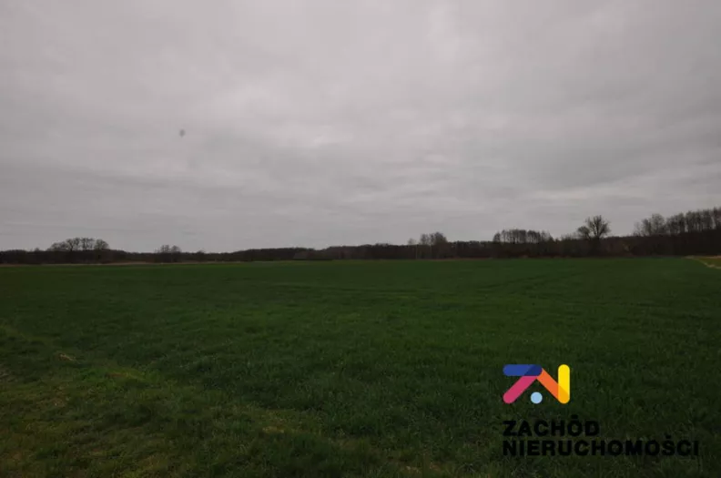 Działka 20 600,00 m², oferta nr , 161030227, Zielona Góra, Zawada