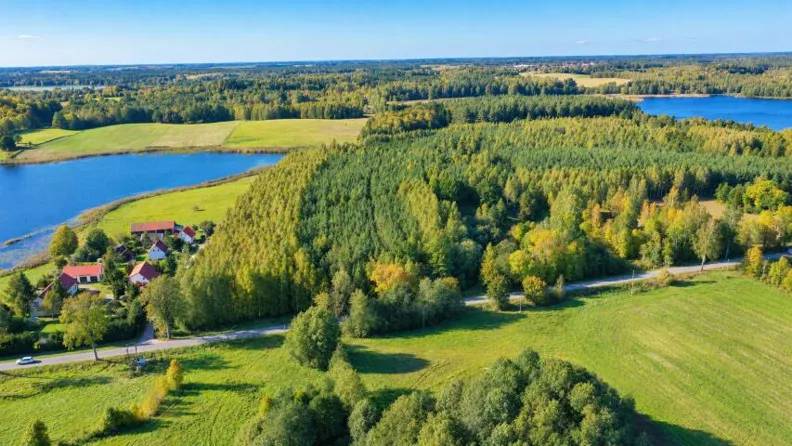 Działka 29 547,00 m², oferta nr , 2669, Żywki