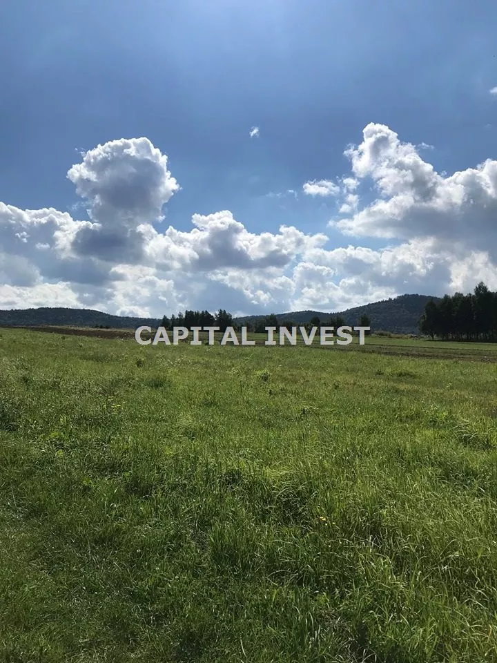 Działka 20 000,00 m², oferta nr , CPI-GS-998-4, Wadowice