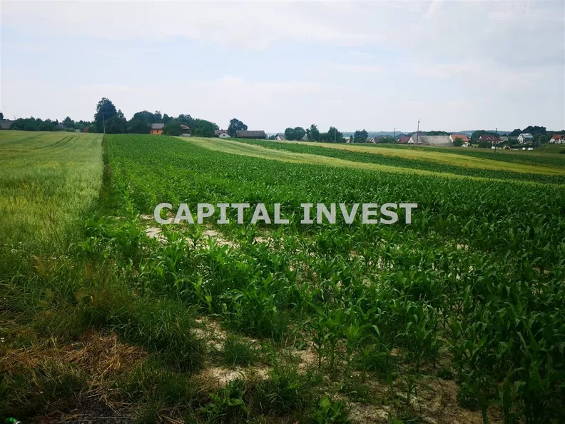 Działka 8 700,00 m², oferta nr , CPI-GS-1656-10, Wieprz