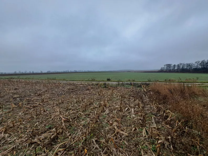 Działka 3 326,00 m², oferta nr , 30-1, Złotniki, J. Kochanowskiego