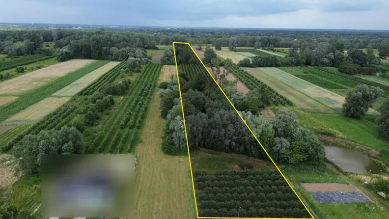 Działka 29 500,00 m², oferta nr , 20071, Dębówka