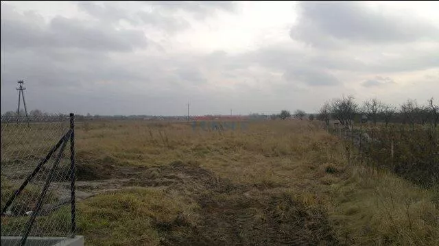 Działka 15 800,00 m², oferta nr , 17474, Kędzierówka