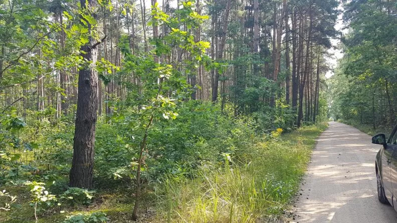 Działka 3 055,00 m², oferta nr , 19859, Mirowice
