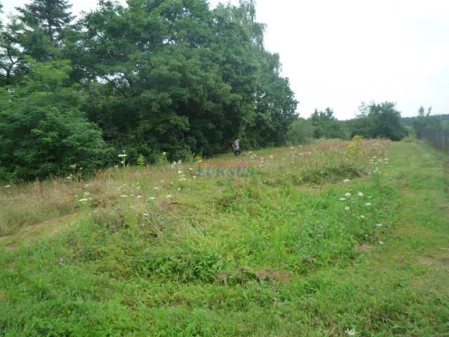 Działka 1 000,00 m², oferta nr , 18456, Sierzchów