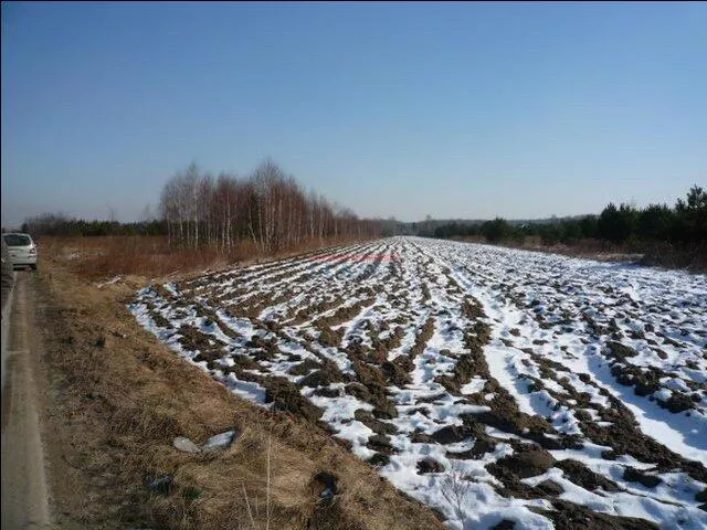 Działka 18 700,00 m², oferta nr , 16649, Żabieniec