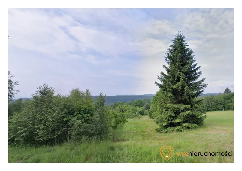 Działka 7 497,00 m², oferta nr , 937568, Chocieszów