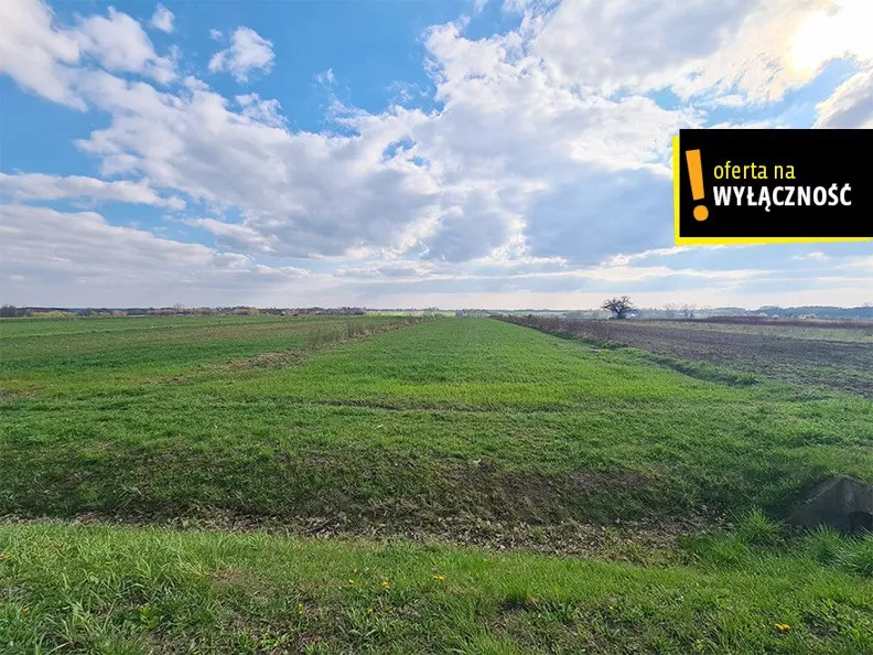 Działka 10 800,00 m², oferta nr , GH394520, Łubnice