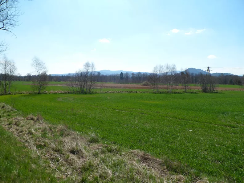 Działka 22 000,00 m², oferta nr , 4/14328/OGS, Jelenia Góra, Maciejowa