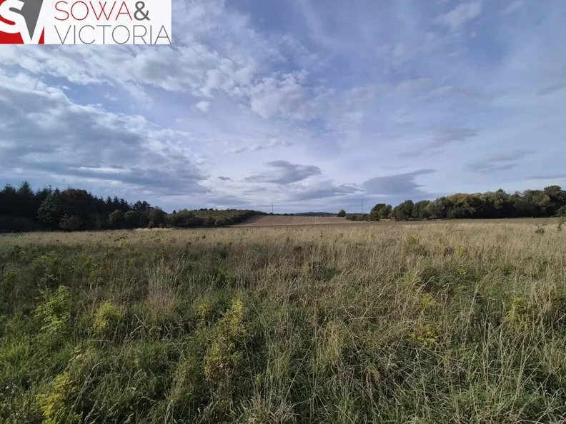 Działka 7 600,00 m², oferta nr , 856/14328/OGS, Kłaczyna