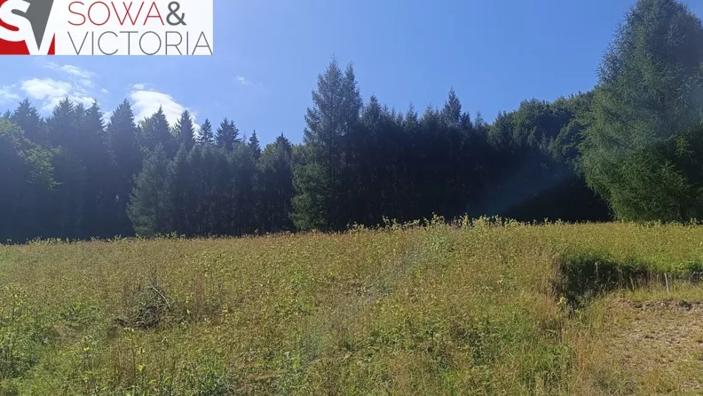 Działka 16 150,00 m², oferta nr , 846/14328/OGS, Michałkowa
