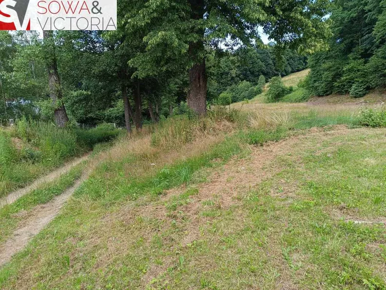 Działka 21 800,00 m², oferta nr , 588/14328/OGS, Pogorzała
