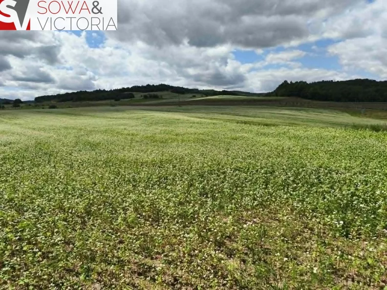 Działka 23 000,00 m², oferta nr , 837/14328/OGS, Stare Bogaczowice