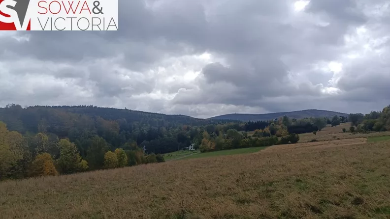 Działka 1 789,00 m², oferta nr , 860/14328/OGS, Walim
