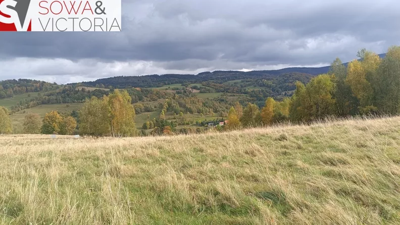 Działka 1 200,00 m², oferta nr , 861/14328/OGS, Walim