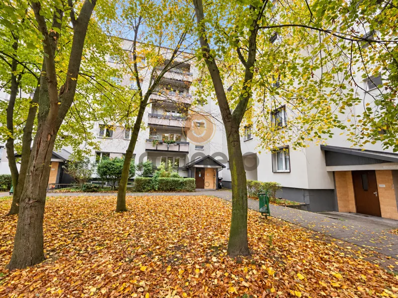 3 pokoje, mieszkanie 62,00 m², parter, oferta nr , 248/13049/OMS, Radom, Zielona
