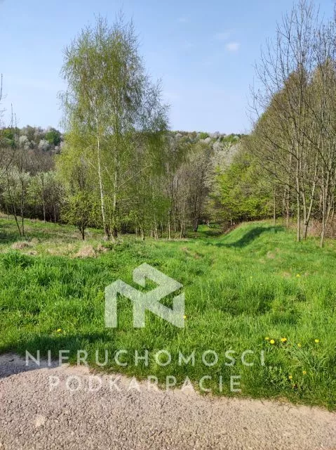 Działka 11 600,00 m², oferta nr , 30/18541/OGS, Lubenia