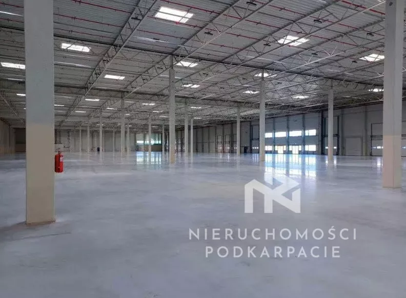 Magazyn 5 000,00 m², oferta nr , 43/18541/OOW, Rzeszów, Technologiczna