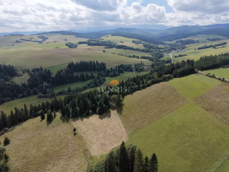 Działka 2 650,00 m², oferta nr , 1289-GS-Dzj9ONuoY8, Niedzica