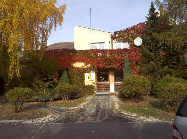 Dom 350,00 m², oferta nr , 837983, Płock, Pniewskiego