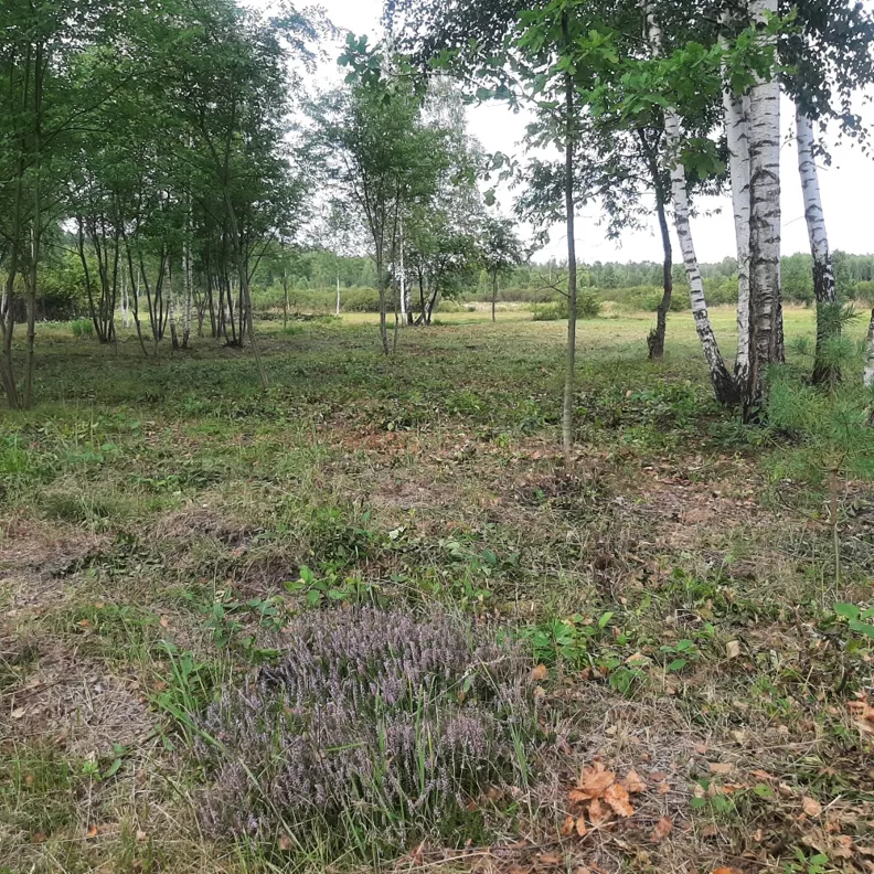 Działka 1 100,00 m², oferta nr , 837483, Daleszyce