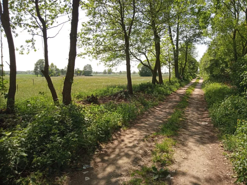 Działka 6 800,00 m², oferta nr , 835974, Goszczyce Średnie