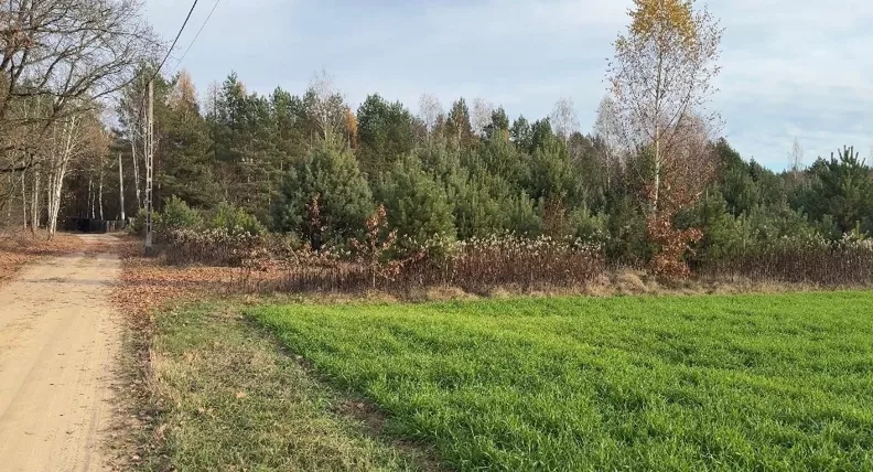 Działka 1 150,00 m², oferta nr , 830313, Kruczy Borek