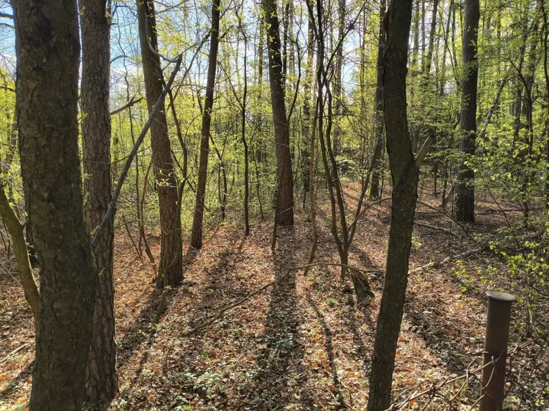 Działka 840,00 m², oferta nr , 836264, Zgierz, Letniskowa