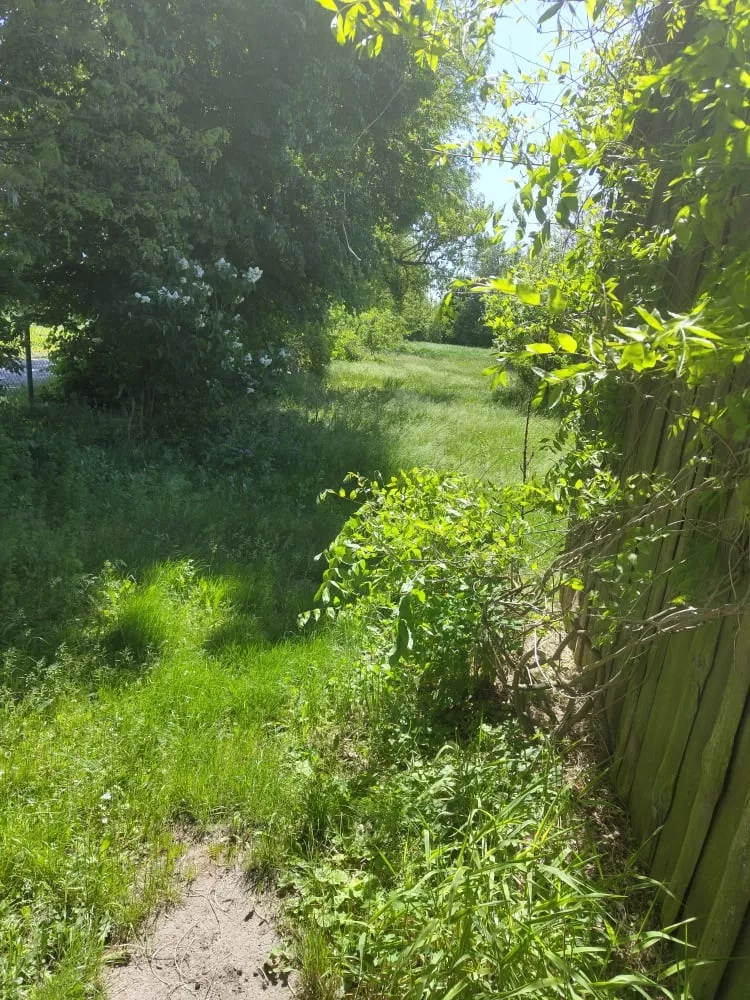 Działka 4 000,00 m², oferta nr , 836559, Lewin